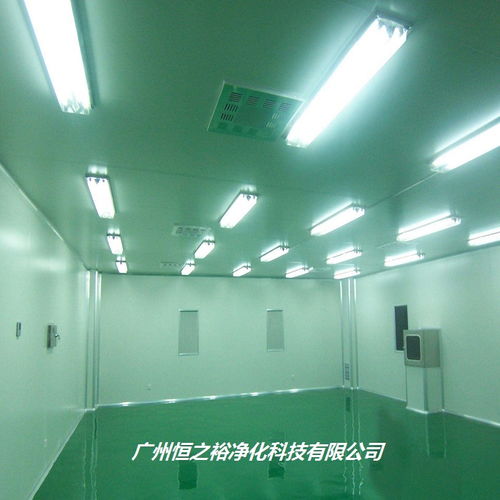 衡阳电子厂无尘车间 净化工程