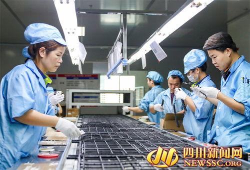 四川广安 发展新质生产力 推动工业经济快速高质量发展 图