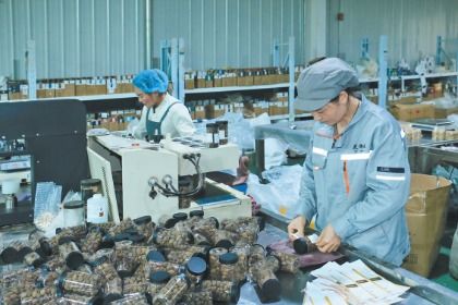 岷县 电商订单生产忙